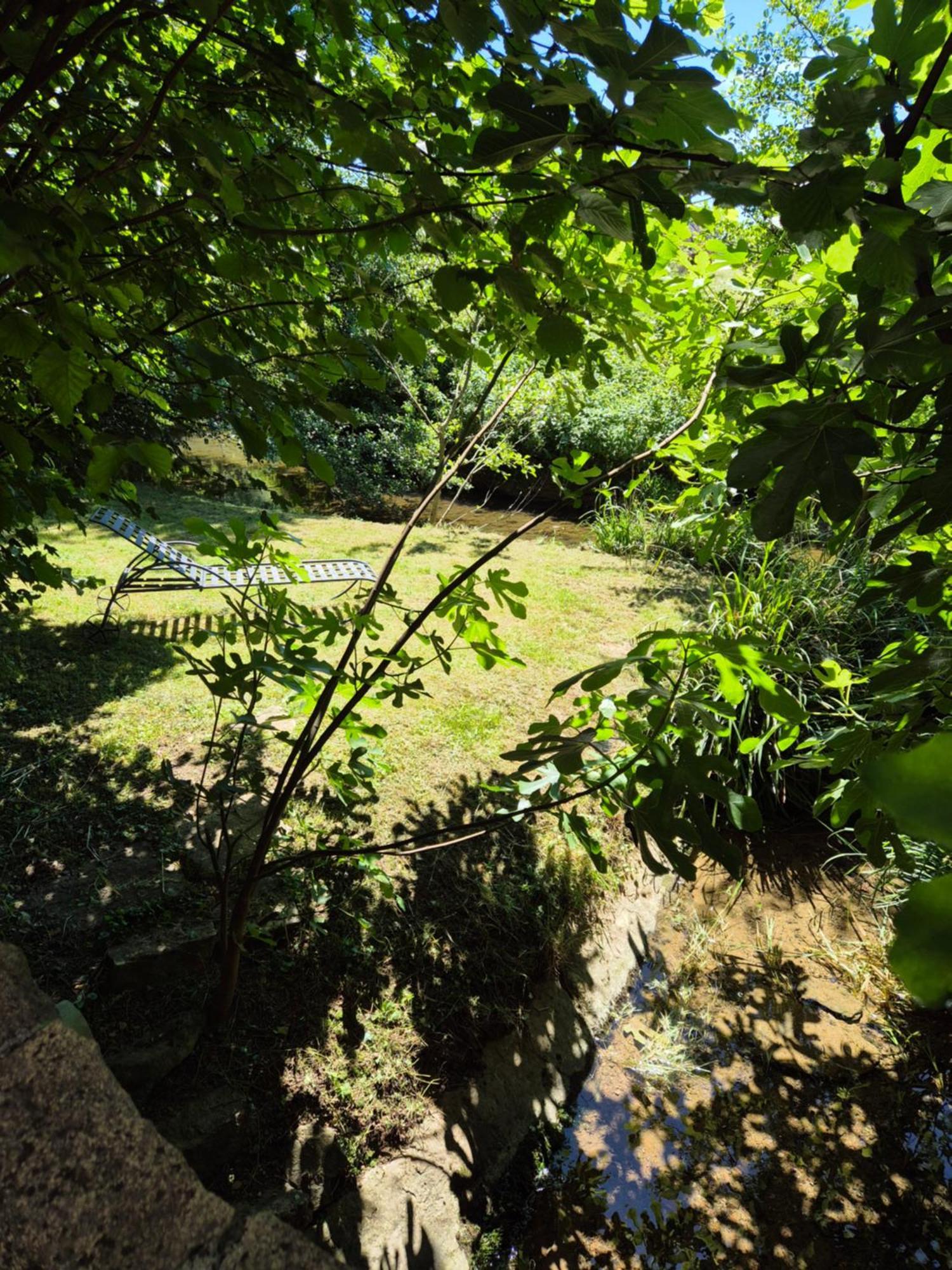 Au Lavoir Du Serein "L'Eventail" Saint-Germain-lès-Arlay 外观 照片